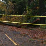 Hurricane Sandy Destruction 8